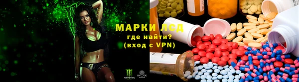PSILOCYBIN Семёнов