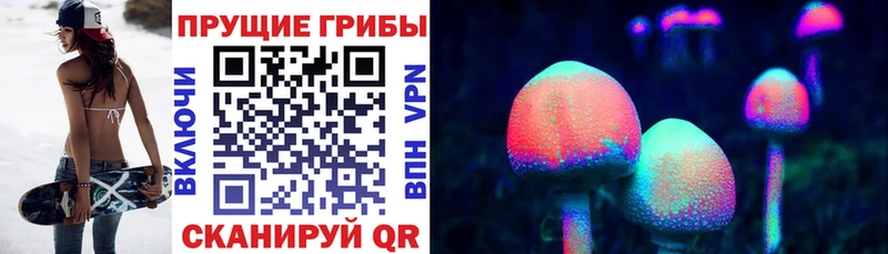 Галлюциногенные грибы MAGIC MUSHROOMS  сколько стоит  Лаишево 